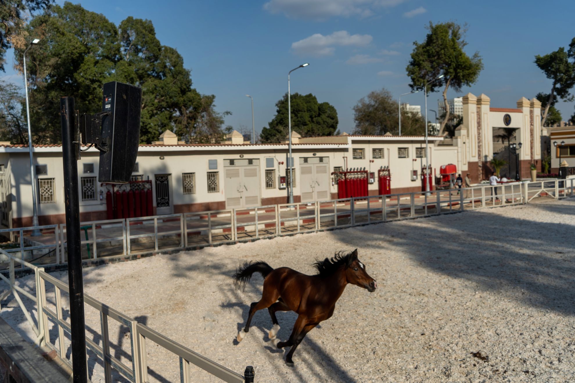 The Renovation of Equestrian Club — view