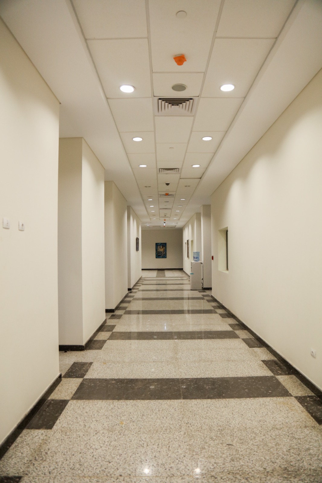 Al Alamein University — detail